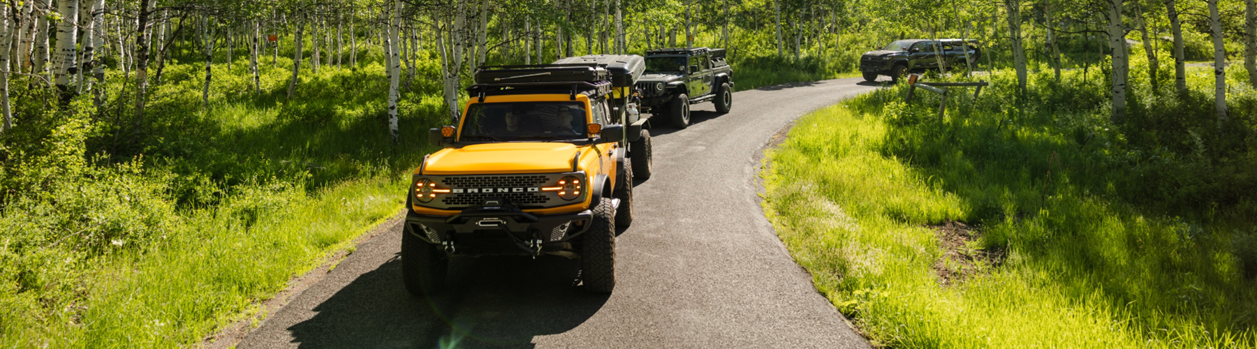 Yellow Ford Bronco leading a convoy of off-road vehicles through a lush aspen forest trail